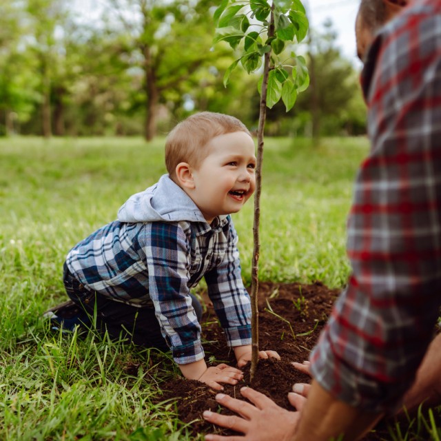 Ein kleines Kind pflanzt im Garten zusammen mit seinem Vater einen Baum