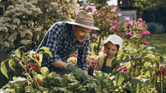 Ein Vater und seine Tochter spielen im Garten und freuen sich über den Jugendbonus von Wüstenrot Ein Vater und seine Tochter spielen im Garten und freuen sich über den Jugendbonus von Wüstenrot