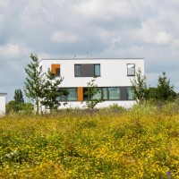 Zweistöckiges Haus mit Flachdach vor einer gelb geblümten Wiese