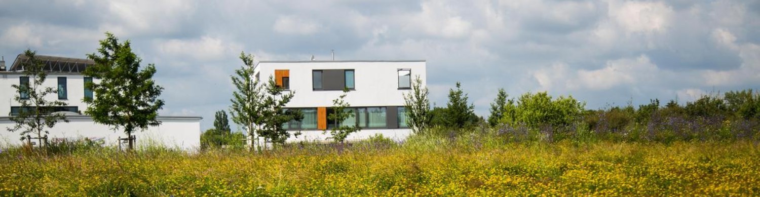 Landschaft mit freistehenden Häusern im Hintergrund